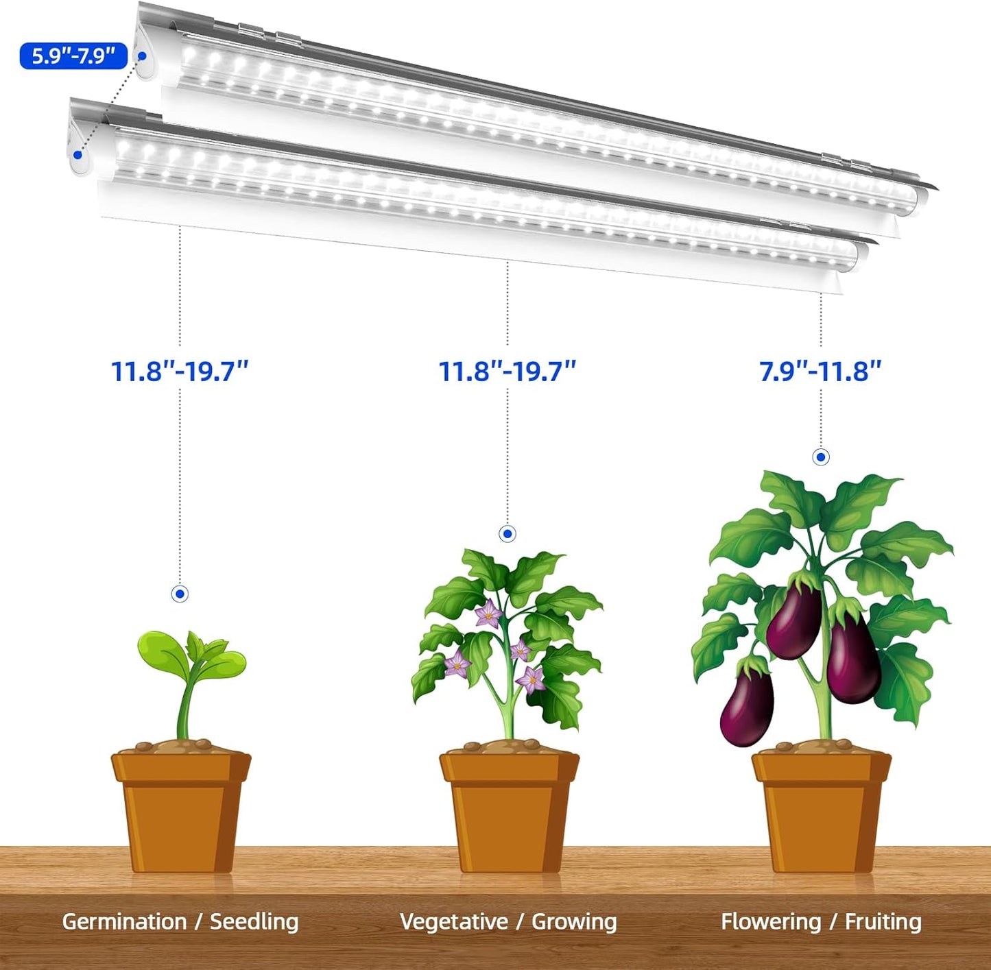 Barrina T8 LED Grow Light Bulbs (6-Pack) – 2FT 5000K White Full Spectrum | Linkable & Energy Efficient