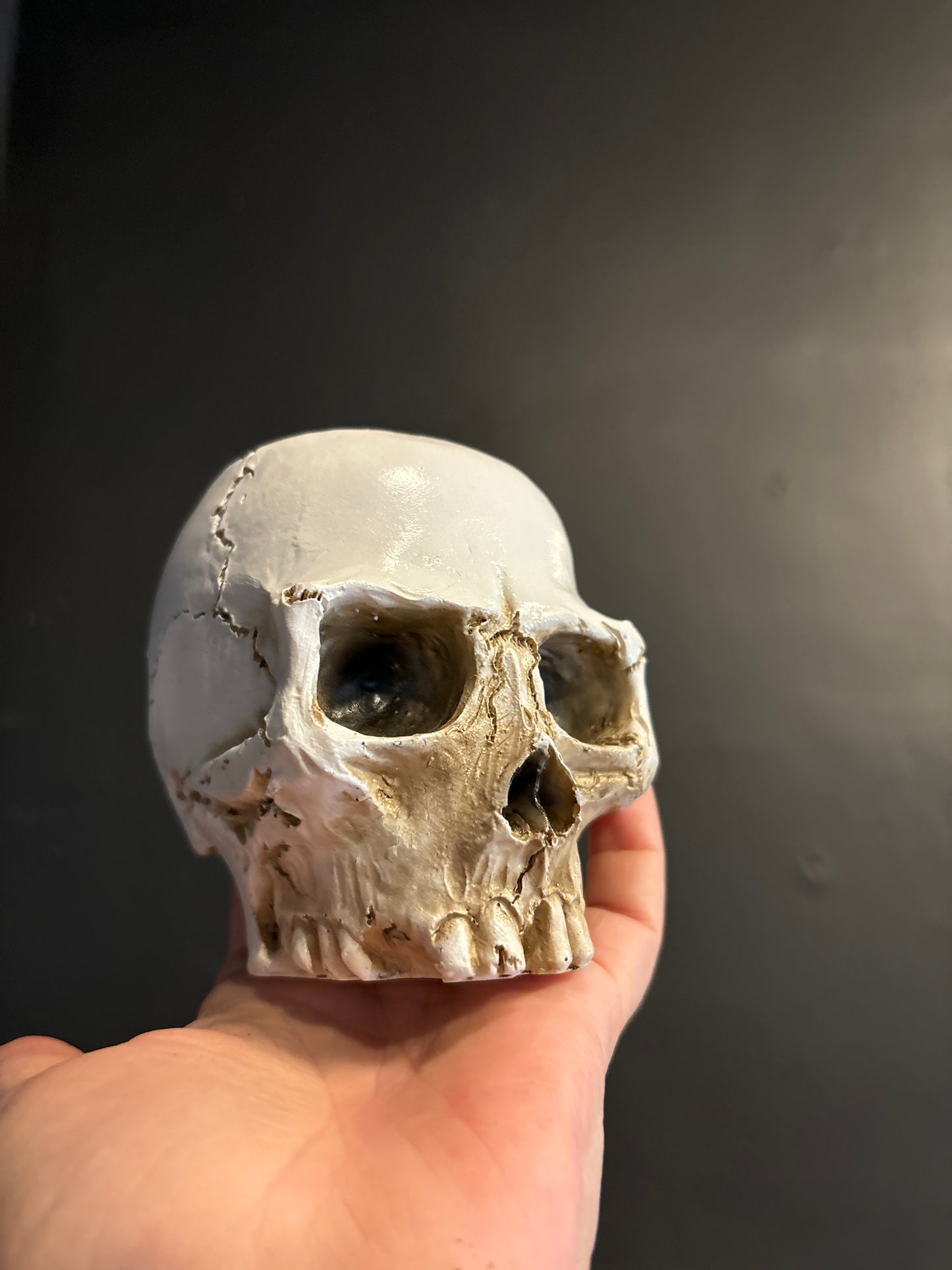 Skull Pot Single