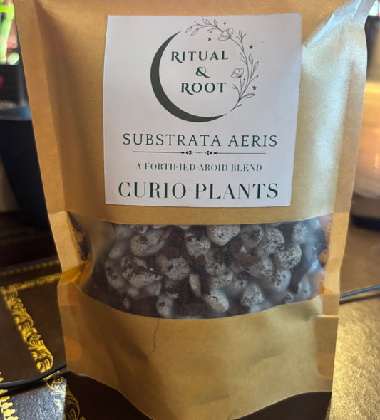 Ritual & Root - Substrata Aeris - Aroid Mix