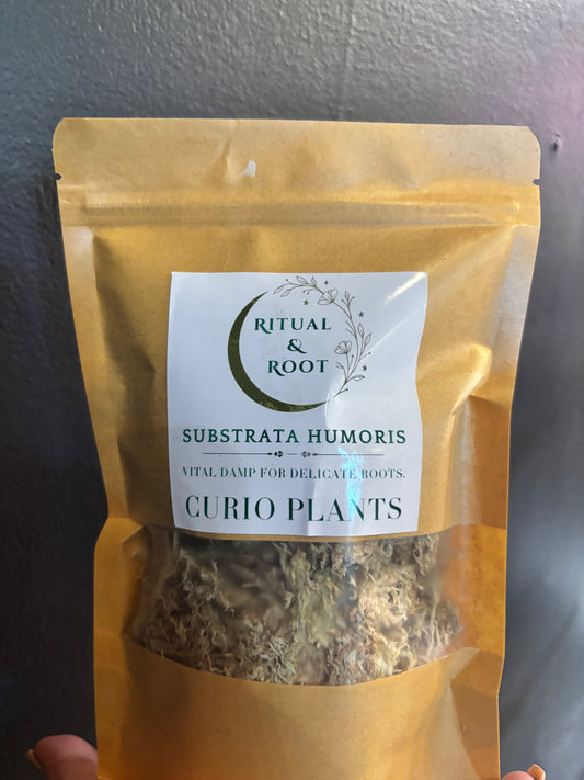 Ritual & Root - Substrata Humoris - Long Fiber Sphagnum Moss