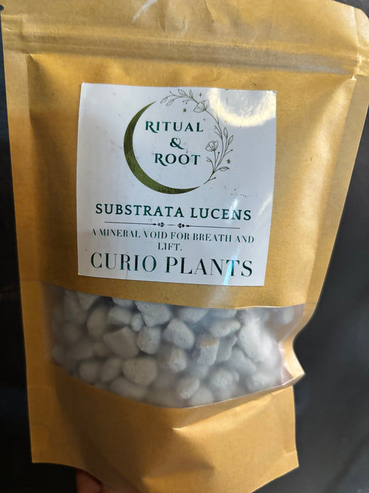 Riutal & Root - Substrata Lucens - Coarse Perlite