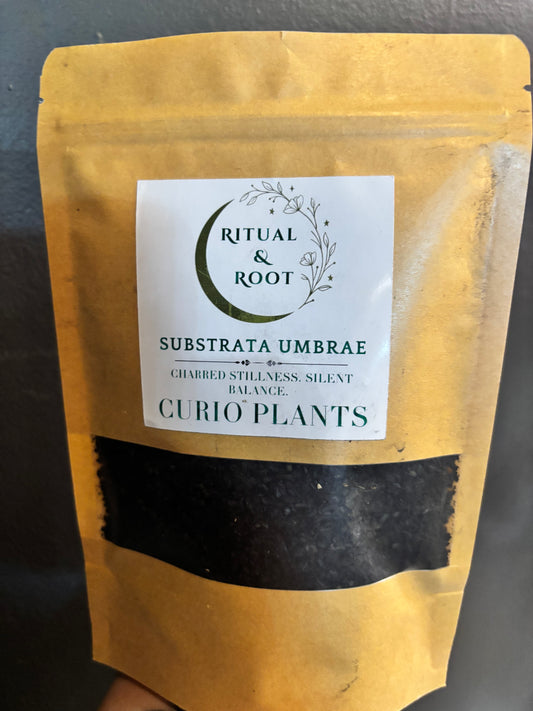Ritual & Root - Substrata Umbrae - Horticultural Charcoal